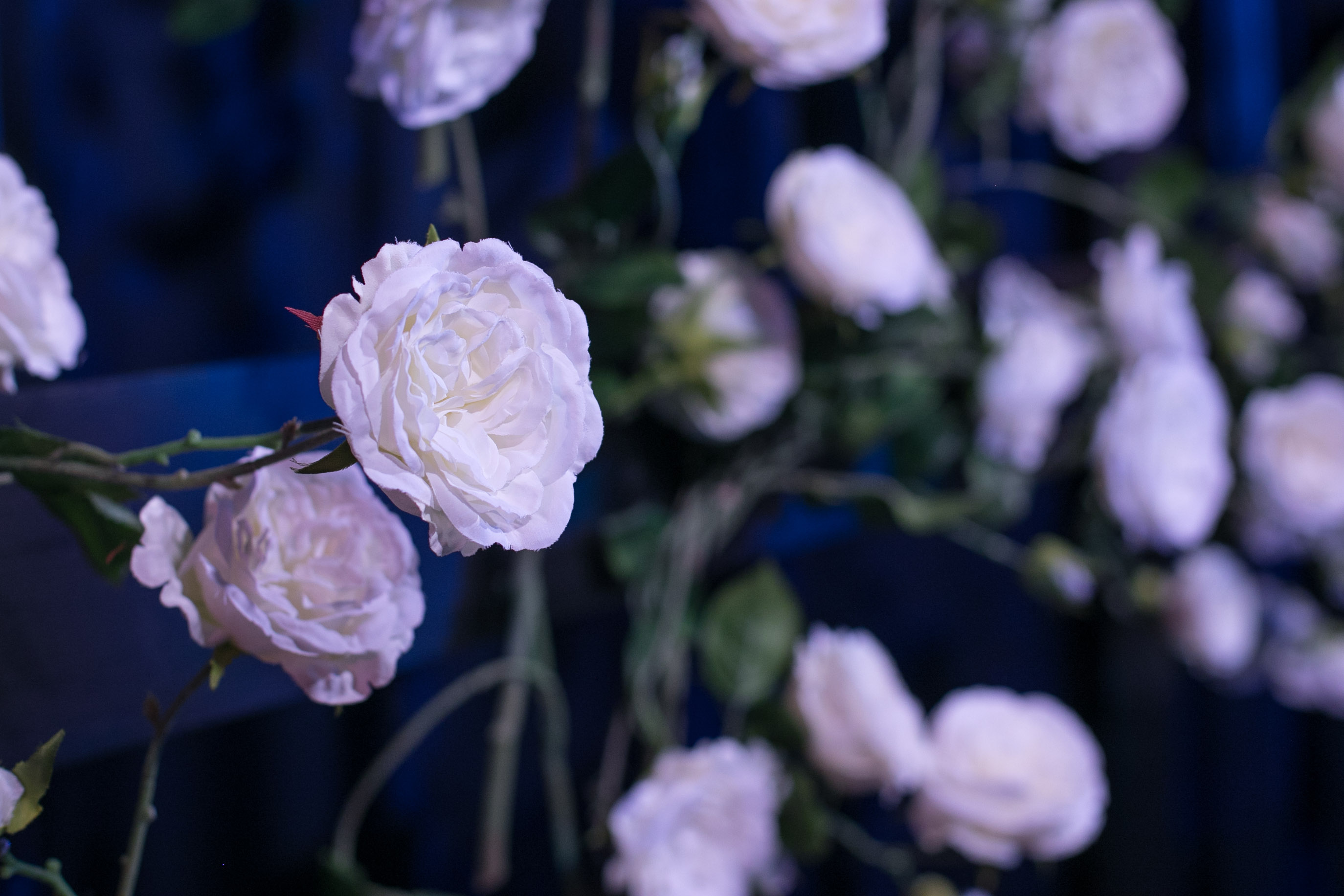 Non Profit Fundraising Event Decor- JDRF Atlanta Hope Gala from Topher Mack Floral & Events